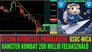 📈Bitcoin Kitörésben Zöld Július Jöhet I Hamster Kombat 200 Millió Userral a Rekordok Könyvébe I USDC [upl. by Le]