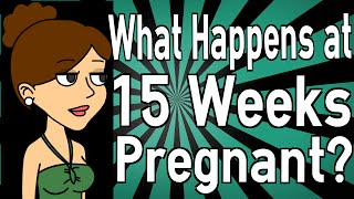 What Happens at 15 Weeks Pregnant [upl. by Cutlip]