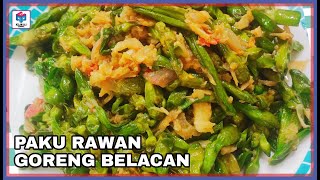 Pucuk Paku Rawan Goreng Belacan sayurkampung bendang budakkampung pucukpaku pakurawan [upl. by Bekelja]