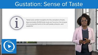 Gustation Sense of Taste – Physiology  Lecturio Nursing [upl. by Legnaesoj]