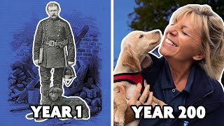 The history of the RSPCA [upl. by Lytsyrk511]