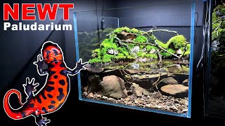 NEWT PALUDARIUM WATERFALL SETUP MOSS amp DETAILS  MD FISH TANKS [upl. by Pournaras]