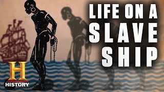 Life Aboard a Slave Ship  History [upl. by Surat]