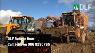 DLF Beet trials Harvest in Co Carlow [upl. by Corsiglia]