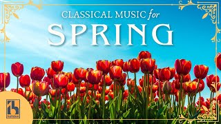 Classical Music for Spring [upl. by Avlasor630]