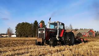 Massey Ferguson 2805 fall tillage [upl. by Vikki216]