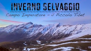 Gran Sasso Inverno Selvaggio a Campo Imperatore  il Piccolo Tibet [upl. by Roanne]