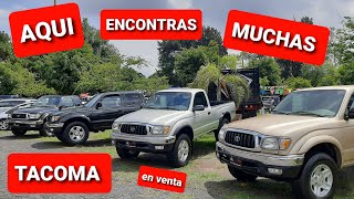 tacoma muchas en venta Toyota precios tianguis Guadalajara [upl. by Ainotna]