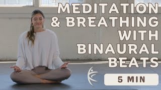 5 Minute Breathing amp Meditation  Binaural Beats 432 Hz  Deep Healing [upl. by Gaultiero]