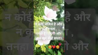 song manjile bichad gayi raste bhi kho gaye love [upl. by Yehus27]