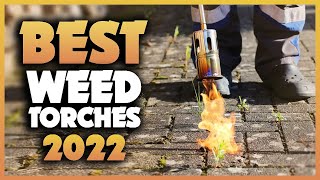 Top 5 Best Weed Torches You can Buy Right Now 2023 [upl. by Tammara]