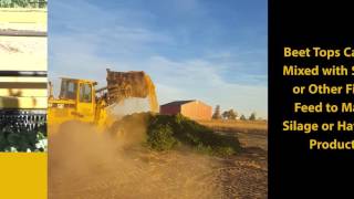 Newhouse Shredder Saves Beet Tops for Feed short version [upl. by Anetsirhc517]