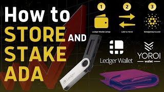 How to STORE amp STAKE Cardano ADA in a Hardware Wallet  Stepbystep Ledger Nano S Beginner Tutorial [upl. by Wendin]