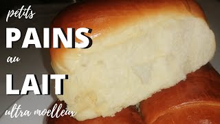 Recette de petits pains au lait ultra moelleux  SWEET WASSAI [upl. by Nillok]