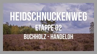 Heidschnuckenweg  Etappe 02  Buchholz id Nordheide  Handeloh  Lüneburger Heide  GPSTrack [upl. by Oderfla]