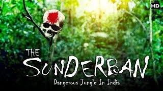 भारत का सबसे खतरनाक जंगल quotसुंदरबनquot  The Dangerous Sundarban [upl. by Cohn918]