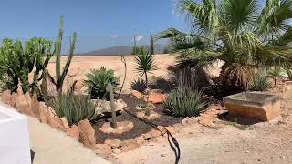 COMO RECOGER AGUA DE LLUVÍA 🌧 EN EL CAMPO  QUE NO TE ENGAÑEN 👀👍 [upl. by Natassia]