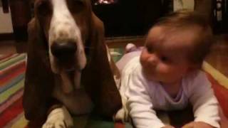 Basset hound and baby [upl. by Eirrok]