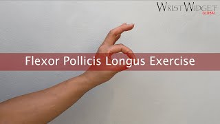 Flexor pollicis longus exercise [upl. by Alwyn]