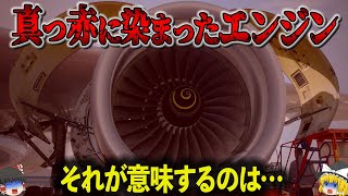 【2024年】飛行機の近くにいた従業員が消えた…赤く染まったエンジンが意味するものとは…「航空機エンジン吸い込まれ事故」【ゆっくり解説】 [upl. by Ellehcil]