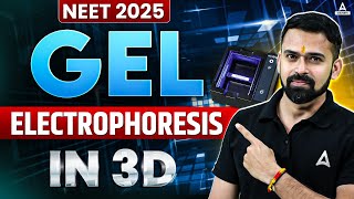 Gel Electrophoresis in 3D  How Gel Electrophoresis Works  NEET 2025  Vishal Sir [upl. by Esemaj]