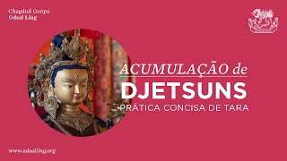 Prática Concisa de Tara Vermelha – Acumulação de Djetsuns [upl. by Nedrud156]