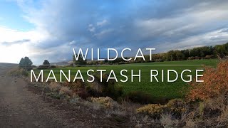 Wildcat  Manastash Ridge  Ellensburg Washington 2023 [upl. by Brewster885]