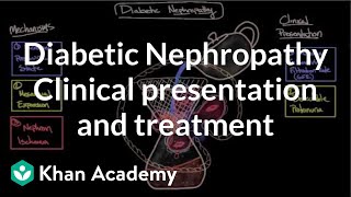 Diabetic nephropathy  Clinical presentation amp treatment  NCLEXRN  Khan Academy [upl. by Eelanna]