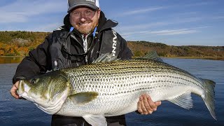 Giant Striped Bass in New Brunswick  Fishn Canada [upl. by Jasper]