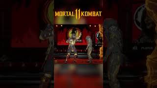 Mortal Kombat 11  All Stage Fatalities 4K 60FPS [upl. by Oelak]