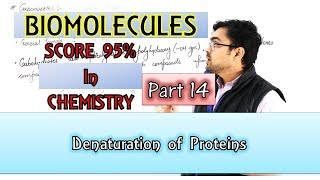 Biomolecules  Denaturation Of Proteins  Part 14  by Mrityunjay Sir [upl. by Clie]