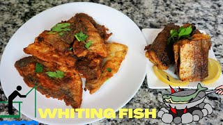 HOW TO COOK WHITING FISH SHORTS FRIED AND BAKED [upl. by Euqenimod168]