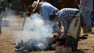 Cattle Branding [upl. by Raffarty]