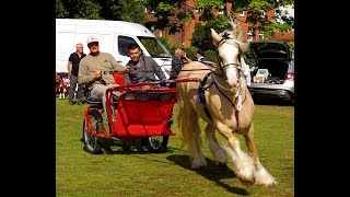 Horsmonden Horse Fair 8 September 2019 songs by Thomas Doran [upl. by Nrehtac952]