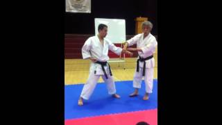 Application of Seiunchin Kata 27 [upl. by Mal]