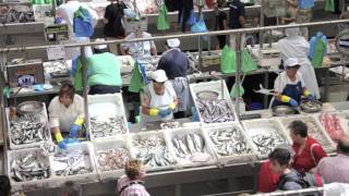 Mercados de abastos tradicionales Galicia y Portugal [upl. by Star930]