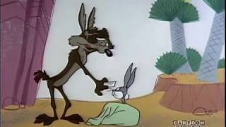 Wile E Coyote Genius [upl. by Drofwarc]