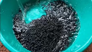 How to wash Activated Carbon Filter  Aquarium Filter media [upl. by Lamori258]