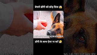 अपने पालतु के साथ कभी ऐसा ना करें 😱  short dog movie part01 [upl. by Blanchette]