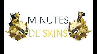 Dofus  Minutes de Skins  Coiffe Reine des Voleurs  Cape Logis  Bouclier Captivant  Hurledent [upl. by Berlinda856]