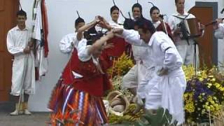 GRUPO FOLCLÓRICO DA CAMACHA  MADEIRA com Maria Ascensão [upl. by Ayotan]