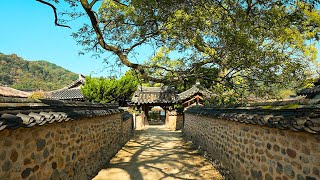 Beautiful Namsa Yedam Village in Gyeongsangnamdo Province Travel Korea with Seoul Walker 4K HDR [upl. by Ellehcear]