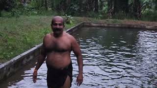 കുളത്തിലെ കുളി  11102024  Bathing in the pool [upl. by Eigram]