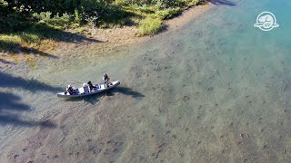 The Mysterious Kokanee Salmon of Kluane National Park and Reserve [upl. by Noiztneb]