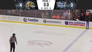 2024 Preseason  Sarnia Sting vs Flint Firebirds [upl. by Joung670]