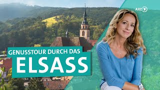 Das Elsass in Frankreich – Zwischen Colmar und Straßburg  ARD Reisen [upl. by Zelda]