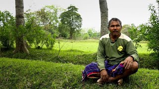 Jadav Payeng Who Turned a Desert into a Forest alone [upl. by Noseimaj171]