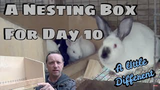 RABBIT NESTING BOX FOR DAY 10 [upl. by Eiuqcaj349]