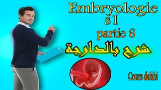 Embryologie s1  partie 6  Amphimixie  شرح بالدارجة [upl. by Eenwahs]