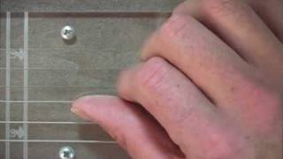 FREE Lap Steel Guitar Lesson Finger Picks amp Tips [upl. by Hna814]